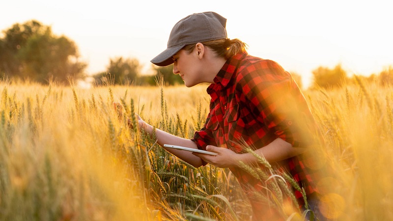 Bayer Crop Science