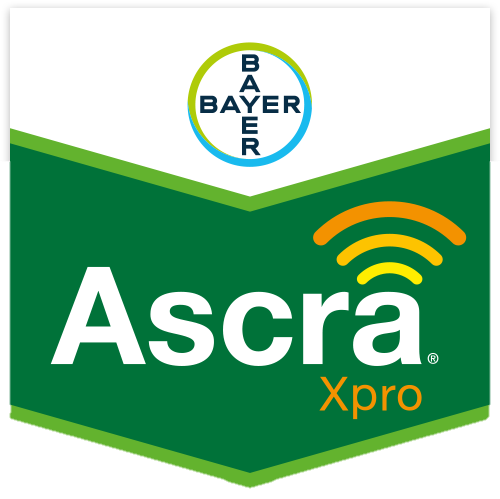 Ascra Xpro