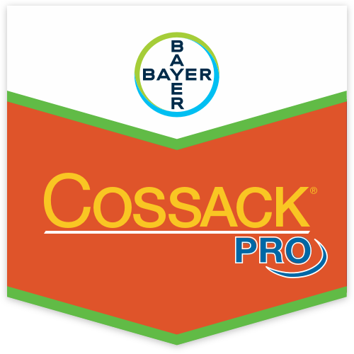 Cossack Pro Scudo