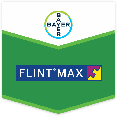 Flint Max Scudo