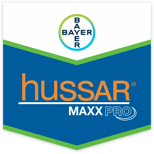 Hussar Maxx Pro Scudo