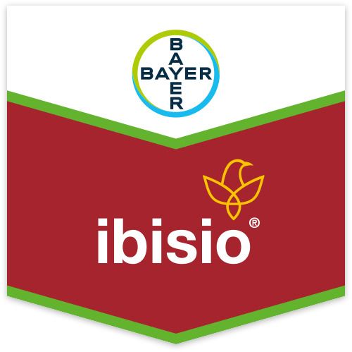 Ibisio