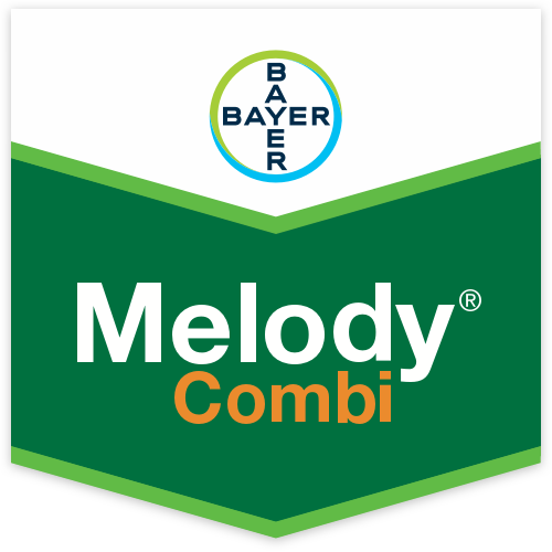 Melody Combi Scudo