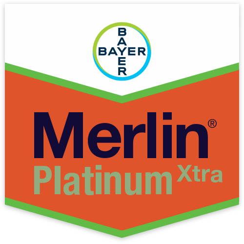 Merlin Platinum Xtra