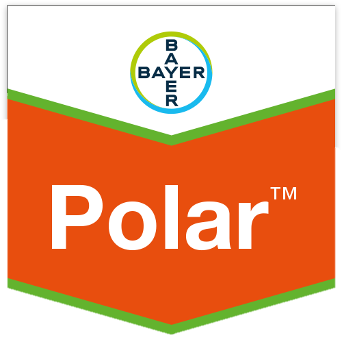 Polar