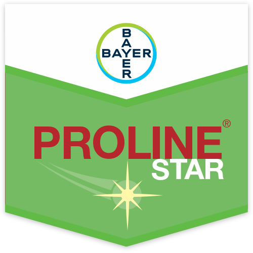 Proline Star Scudo