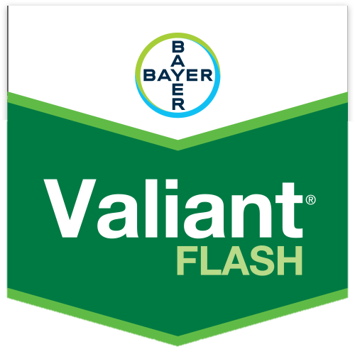 Valiant Flash