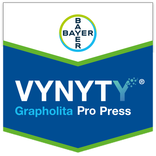 Vynyty Grapholita Pro Press