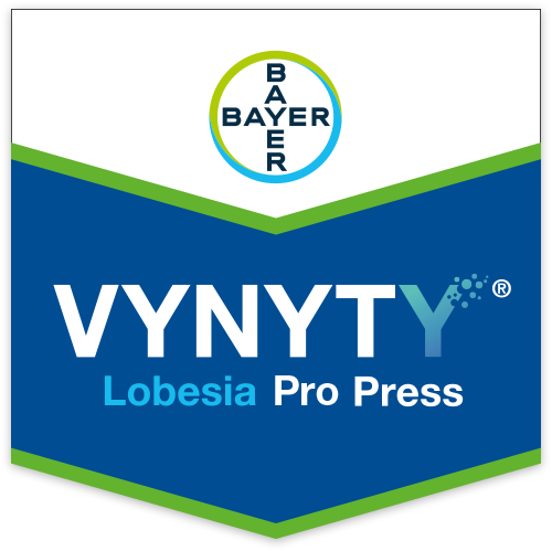 Vynyty Lobesia Pro Press