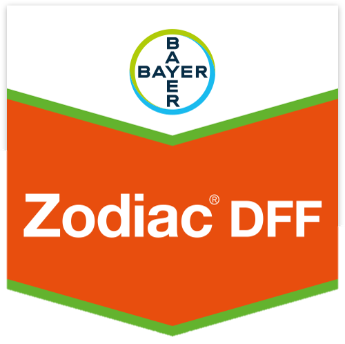 Zodiac Dicuran DFF Scudo